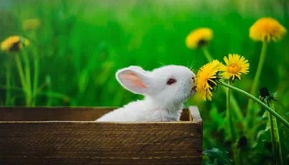 NBA球员训练技术创新，nba球员日常训练项目