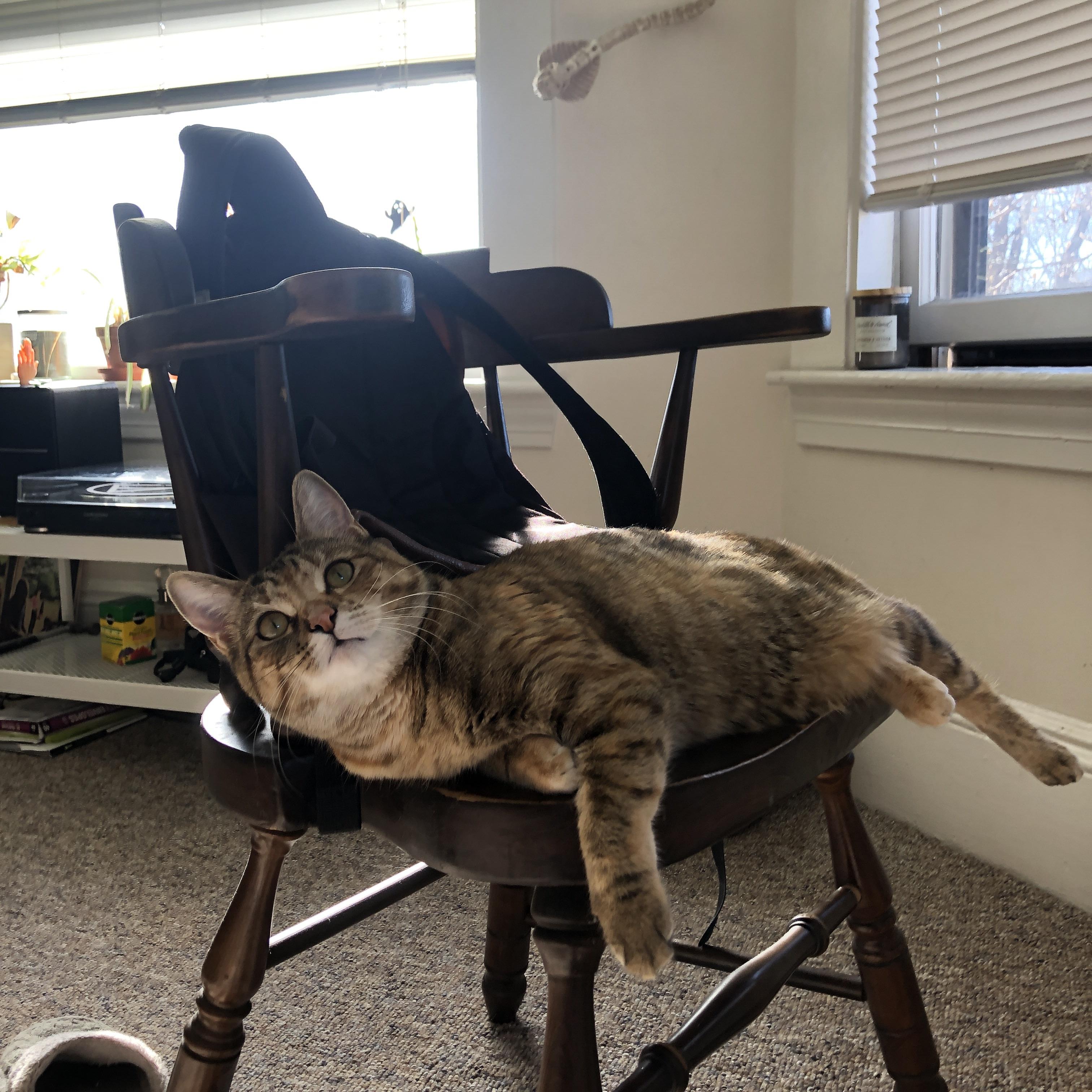 _海底滑索：在水中穿越莫测奇境_，跳入海底视频