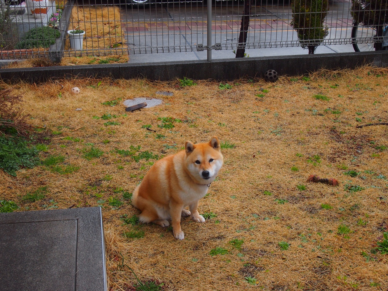 不同国家的打法风格大比拼,不同的国家打仗