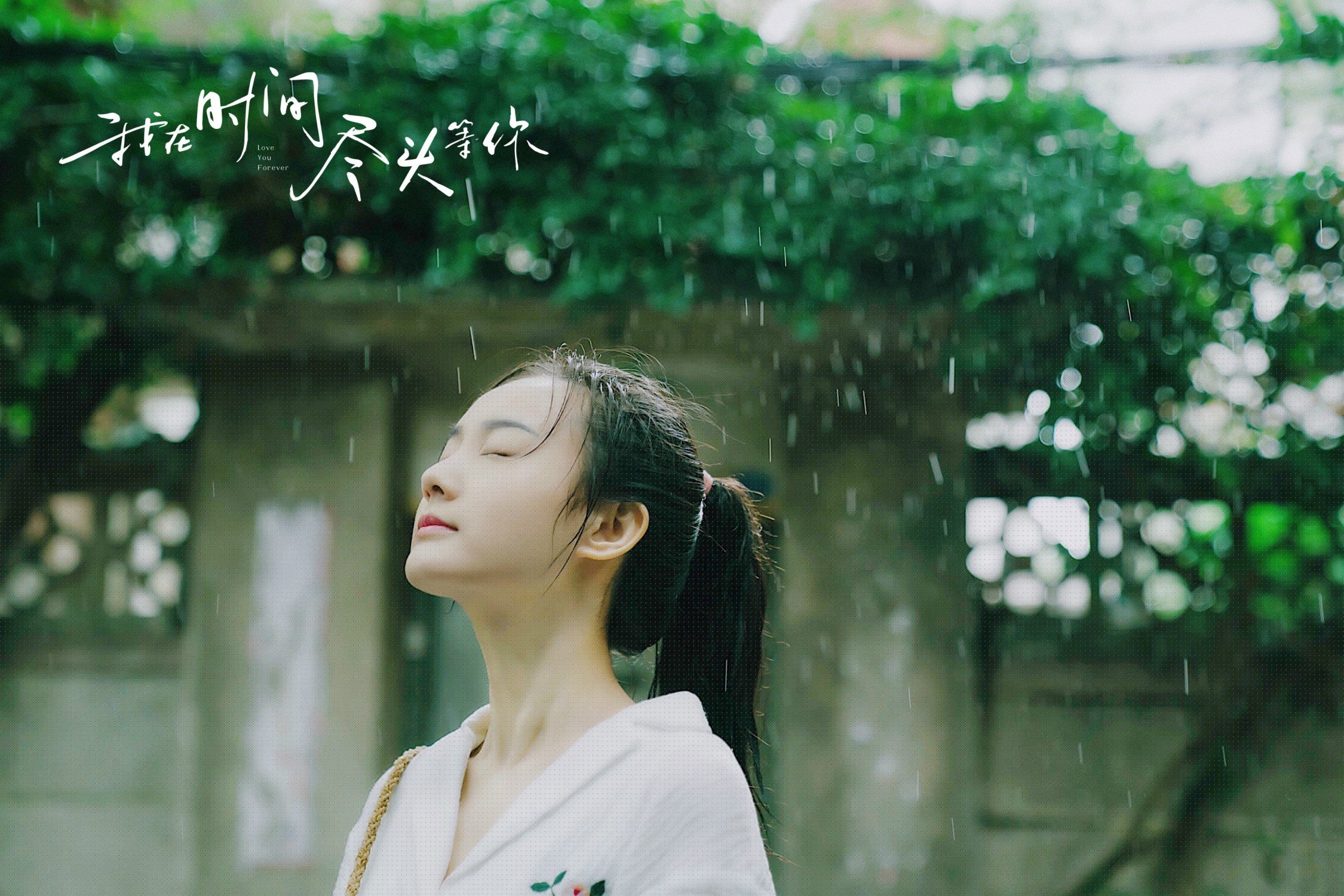 北京队本赛季表现出色，有望冲击冠军，北京队队员