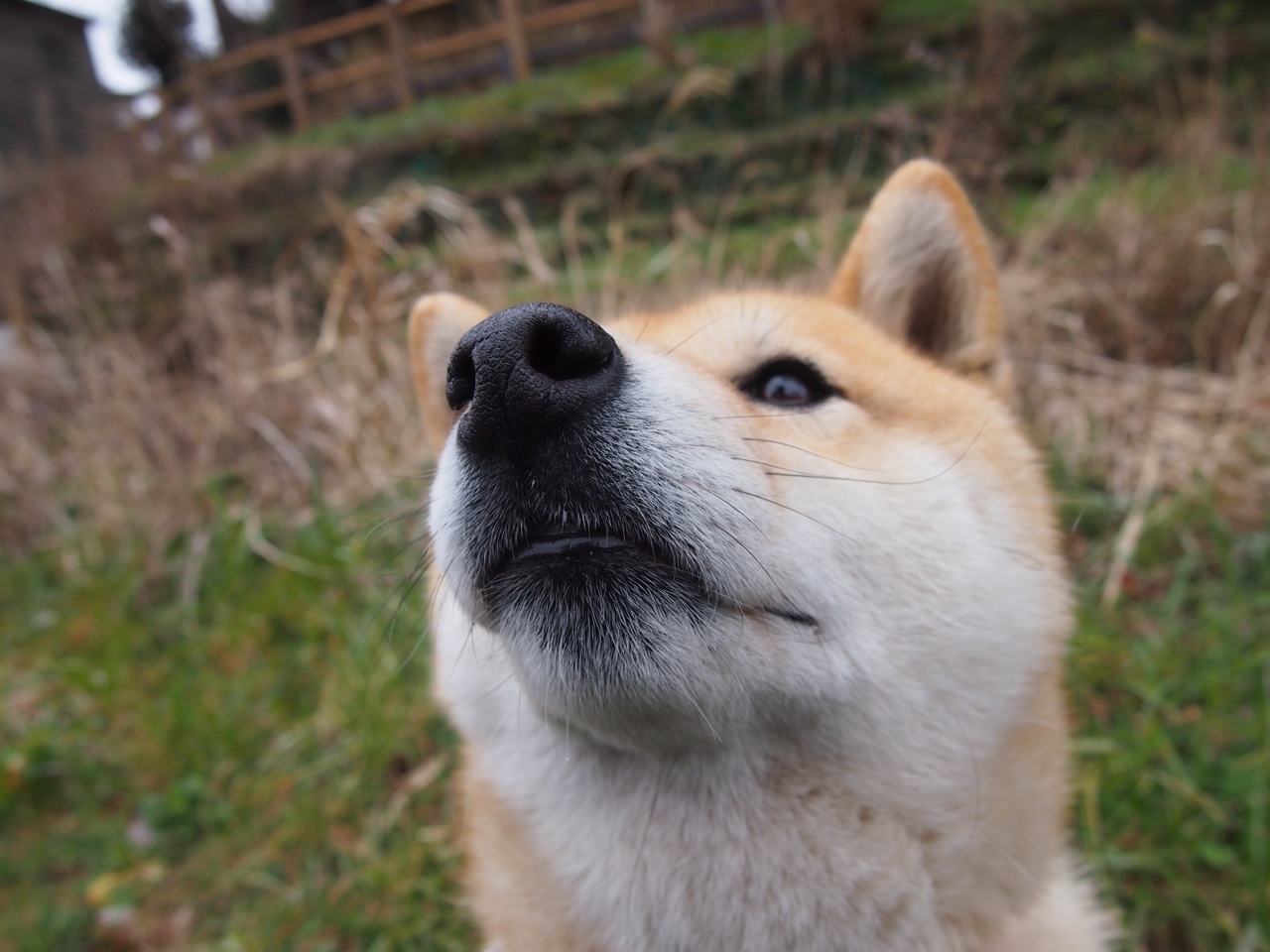 巴西男篮在巴黎奥运会小组赛中展现年轻球员潜力,巴西男篮奥运会名单