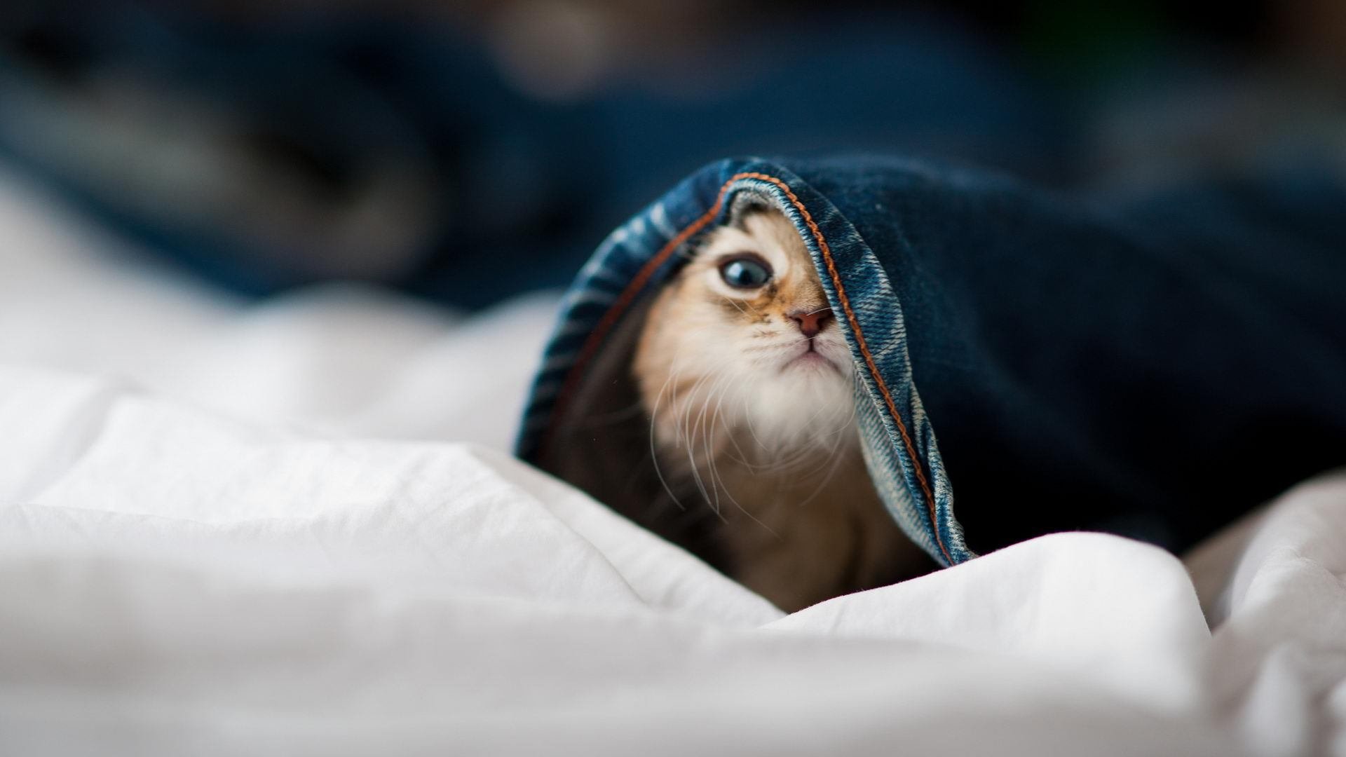 法甲战局胶着，比分1-1，比赛亮点：多次成功防守、角球占优，射门转化率高达50%