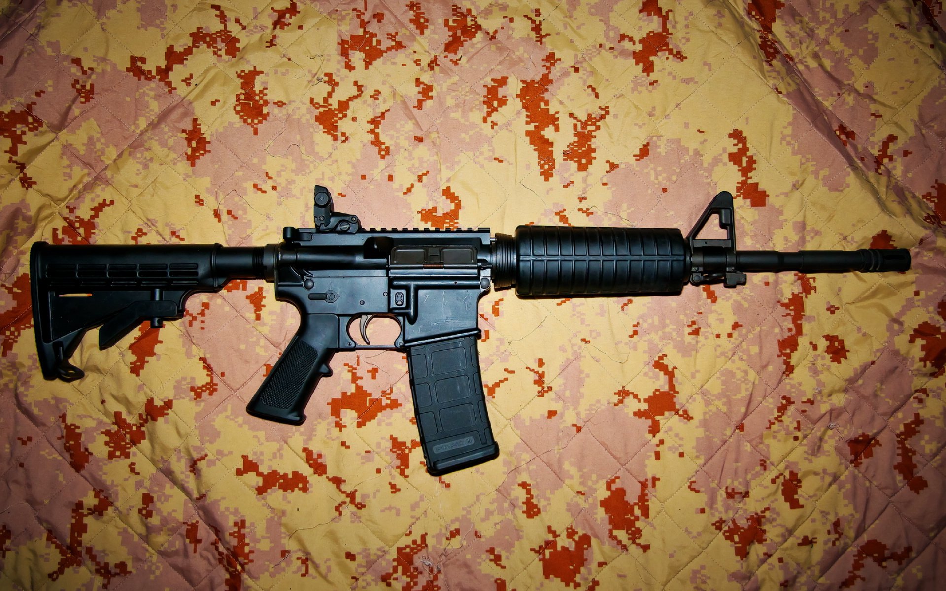 葡萄牙马术队在2024年欧洲工作马术锦标赛中获得团体铜牌，展现出色表现。