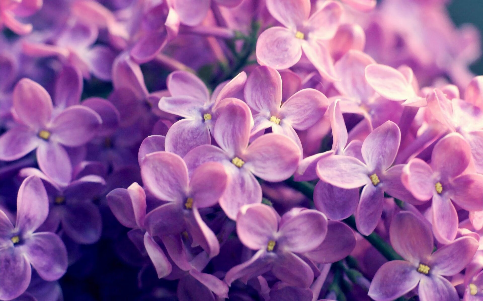 赛前预热：车手在比赛日的心理调适，赛车比赛前的鼓励的话