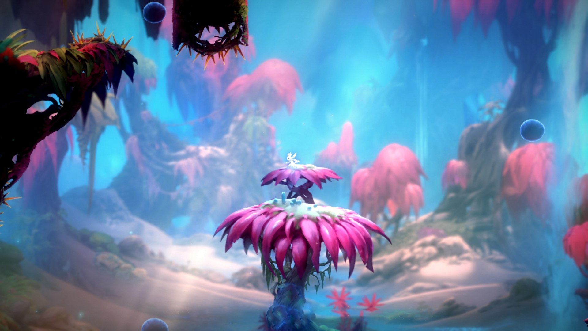 公牛队雄心勃勃,计划夺得季后赛名额,公牛队新赛季阵容