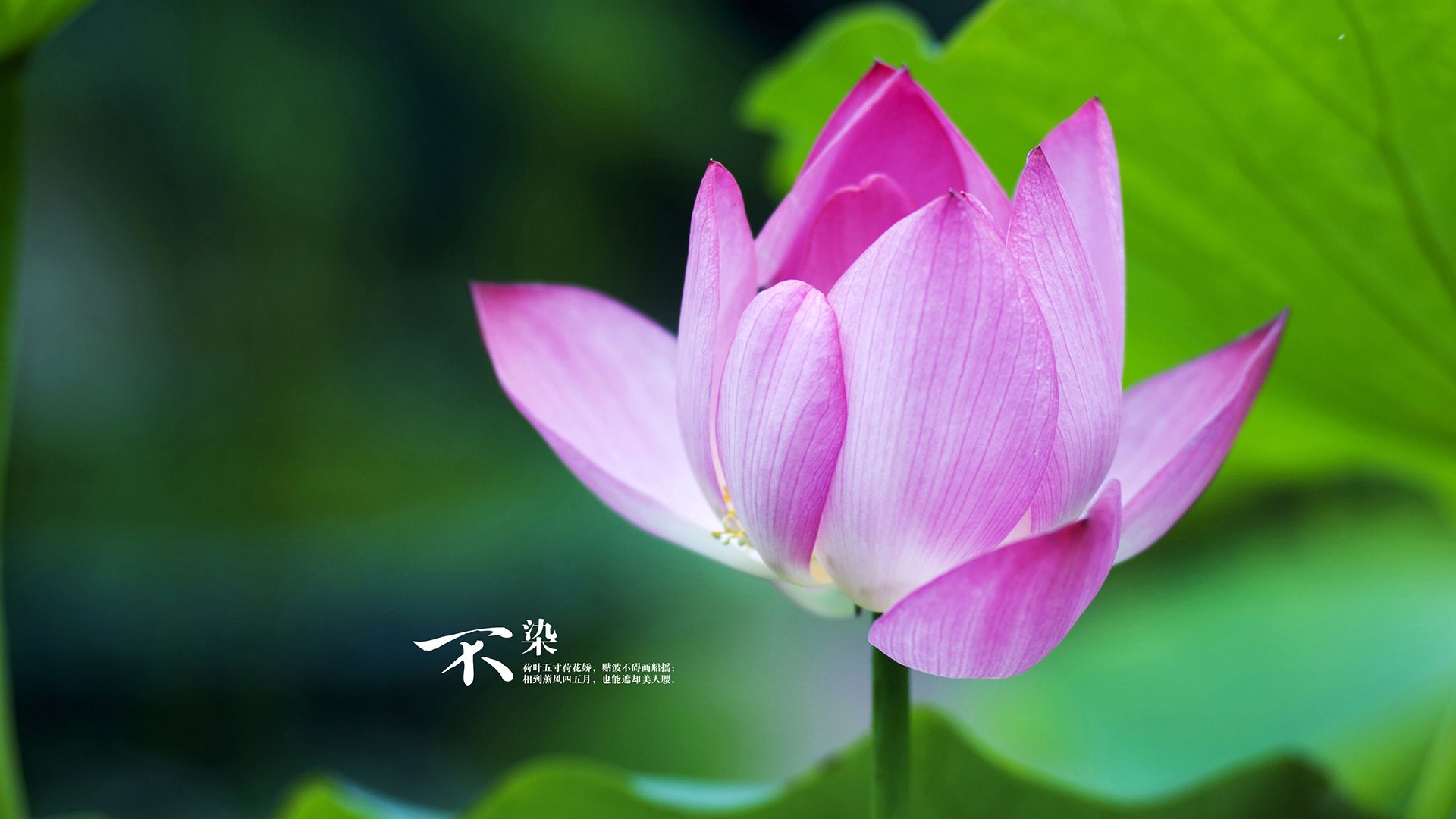 摩洛哥队在巴黎奥运会上展现出强大的进攻火力，摩洛哥奥运冠军