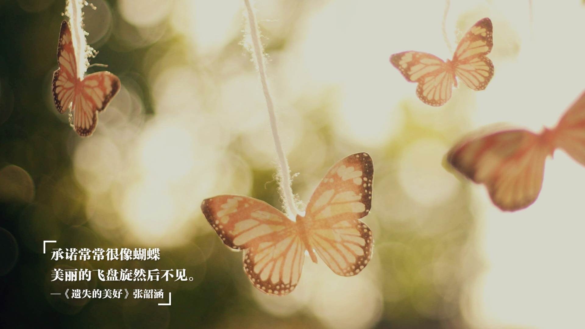 澳大利亚铁卫斩获关键进球,助球队晋级,澳大利亚兵败铁矿石之战