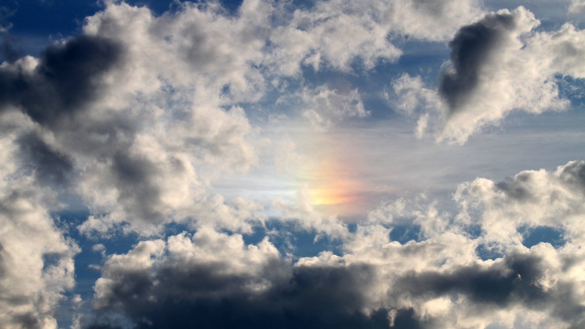 体育新闻中心联合高校开展体育新闻数据分析实验，体育新闻深度报道案例