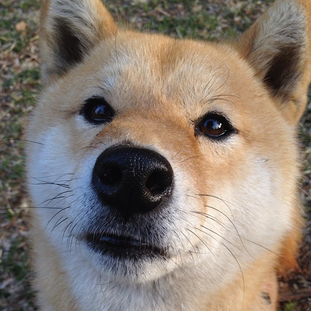 奥运村卫生系统引入无接触感应设备，奥运村卫生系统引入无接触感应设备的原因