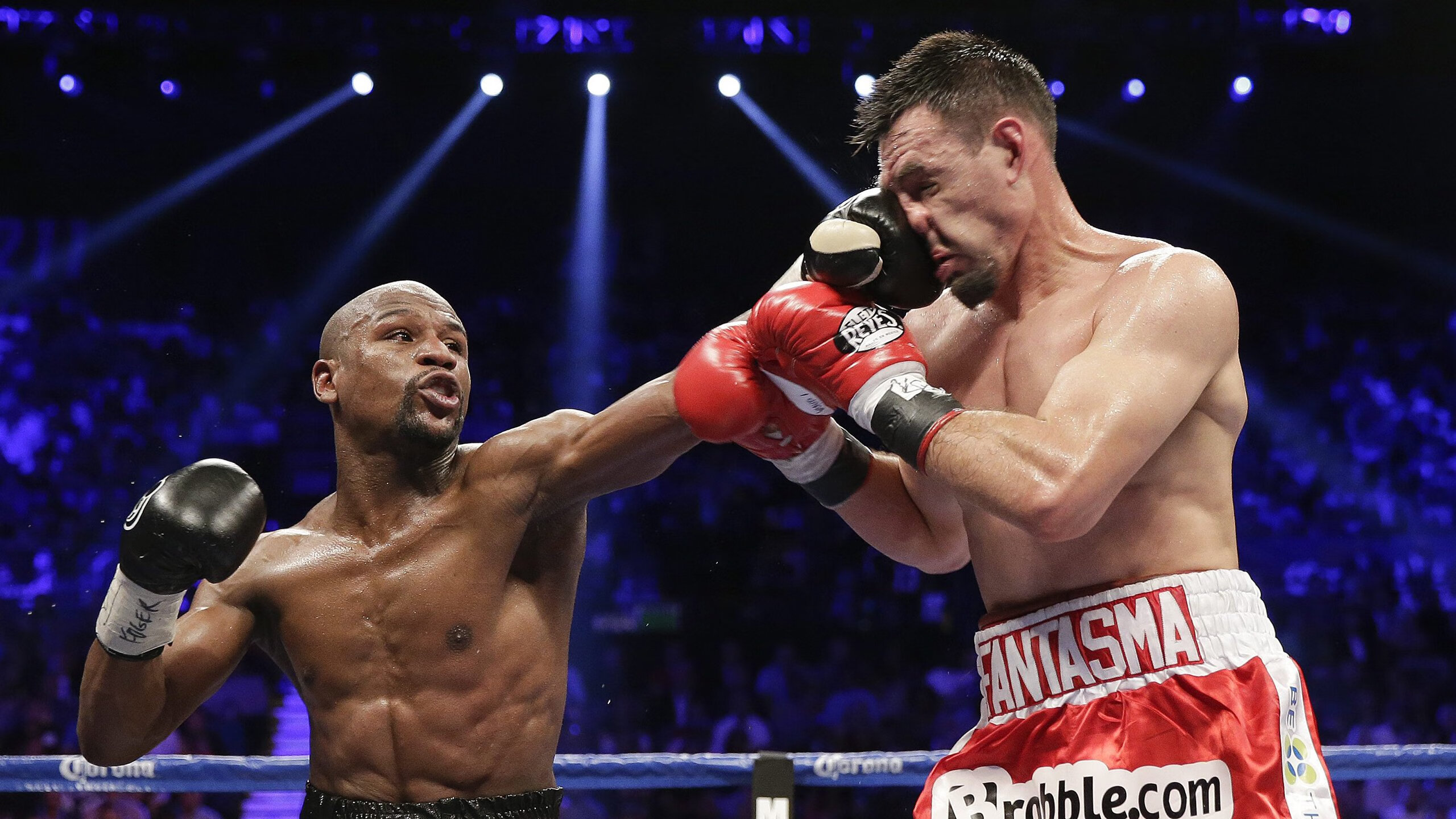 “南非羚羊队新生力量：萨尔·巴赫的突破性表现”