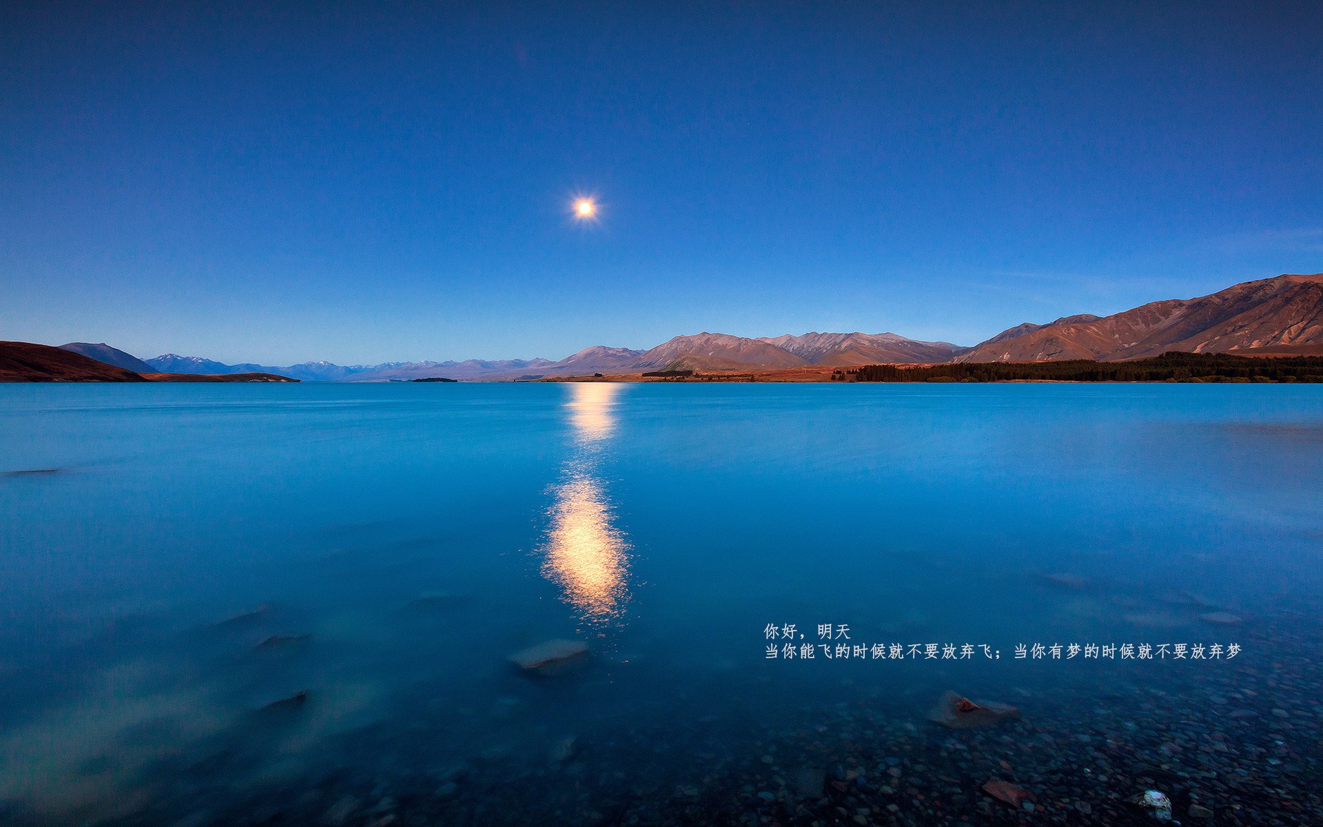 战术板曝光教练临场布置思路清晰调整迅速反应精准，战术板篮球图片
