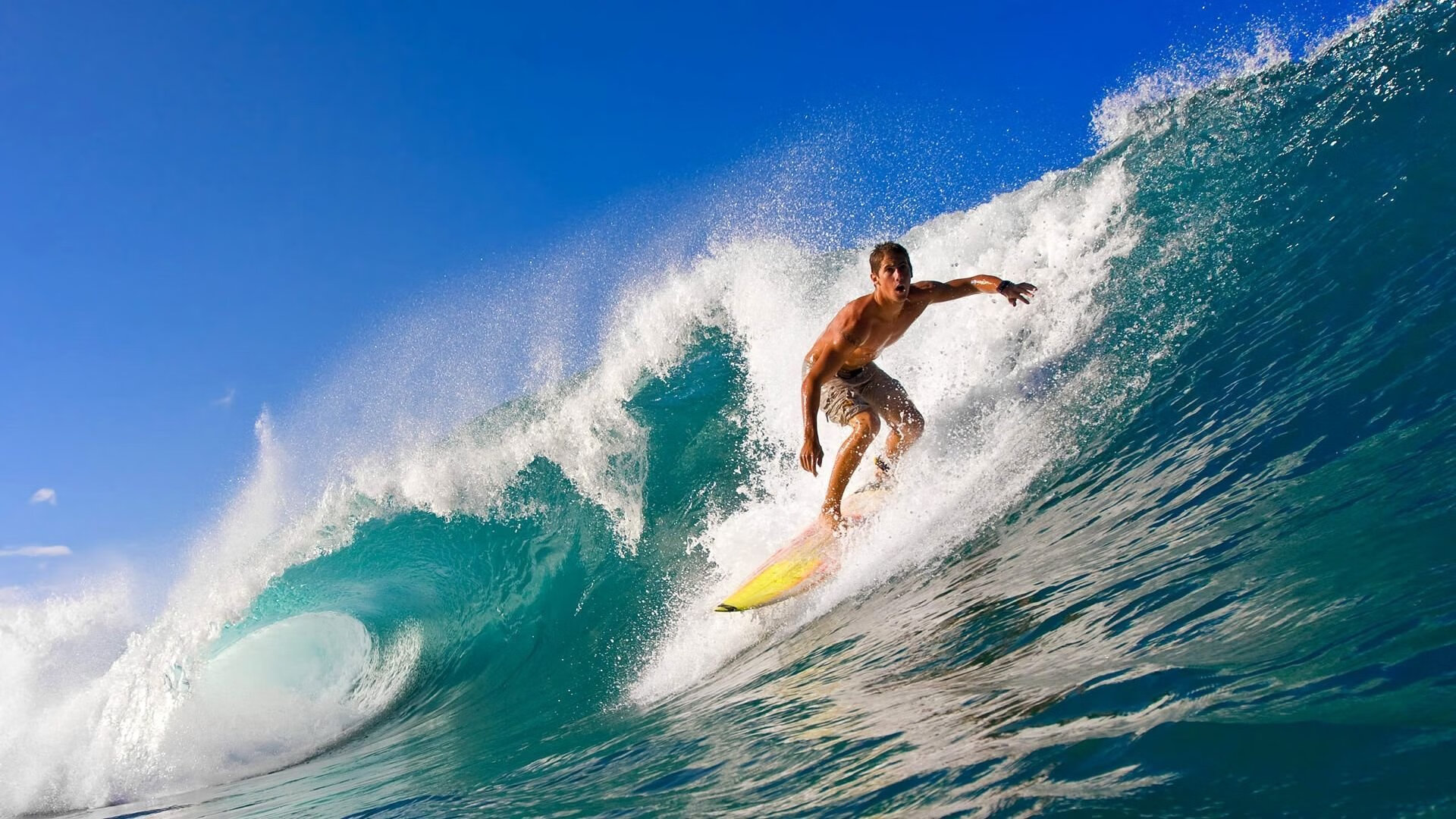 赛事亮点:难忘的逆转胜利,难忘的胜利作文